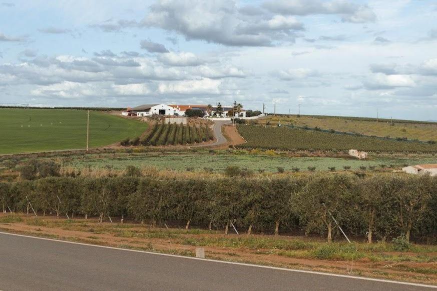 Quinta Do Castelo Otel Beja Dış mekan fotoğraf